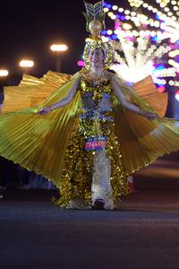 BIB: 
                            <button type="button" onclick="openModal(23787964)" class="btn btn-primary btn-sm float-right btn-popup" data-toggle="modal" data-target=".modal-high-quality">
                        <i class="fas fa-shopping-cart"></i> Add to Cart
                    </button>
                                            <button type="button" onclick="isThisMe(23787964, true)" class="btn btn-success btn-sm float-right btn-popup btn-isme hidden" data-toggle="tooltip" data-placement="bottom" title="นี่คือรูปของคุณใช่ไหม คลิกที่นี่เพื่อเอาเข้าอัลบั้ม">
                        <i class="fas fa-plus"></i> Add to album
                    </button>
                    <button type="button" onclick="isThisMe(23787964, false)" class="btn btn-warning btn-sm float-right btn-popup btn-isnotme hidden">
                        <i class="fas fa-ban"></i> Remove from album
                    </button>